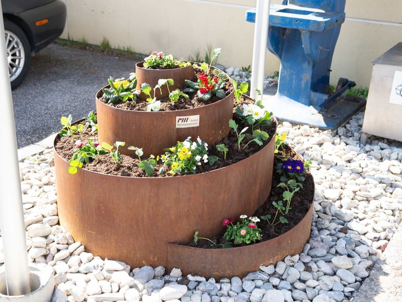 Gartenspecht